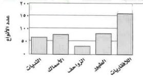 الحيوانات المهددة بالانقراض